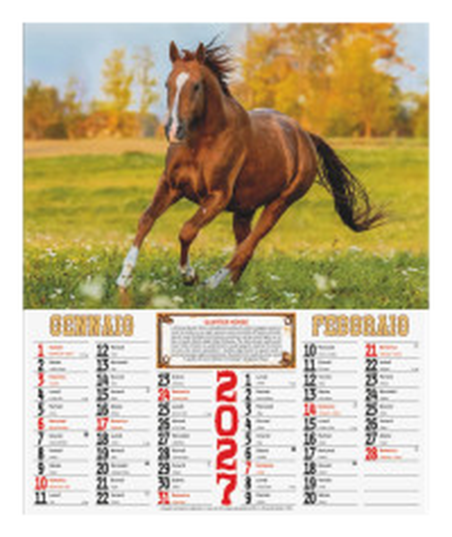 Calendario illustrato da parete cm 32x49,5 - Cavalli