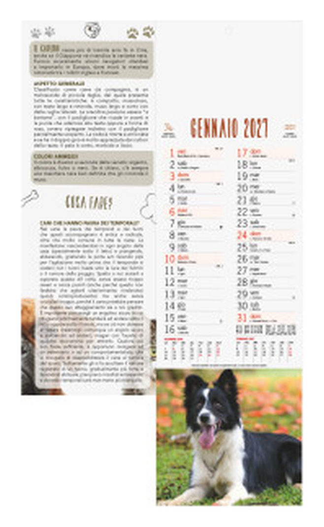 Calendario Illustrato Silhouette cm 14x47 - Cani e Gatti