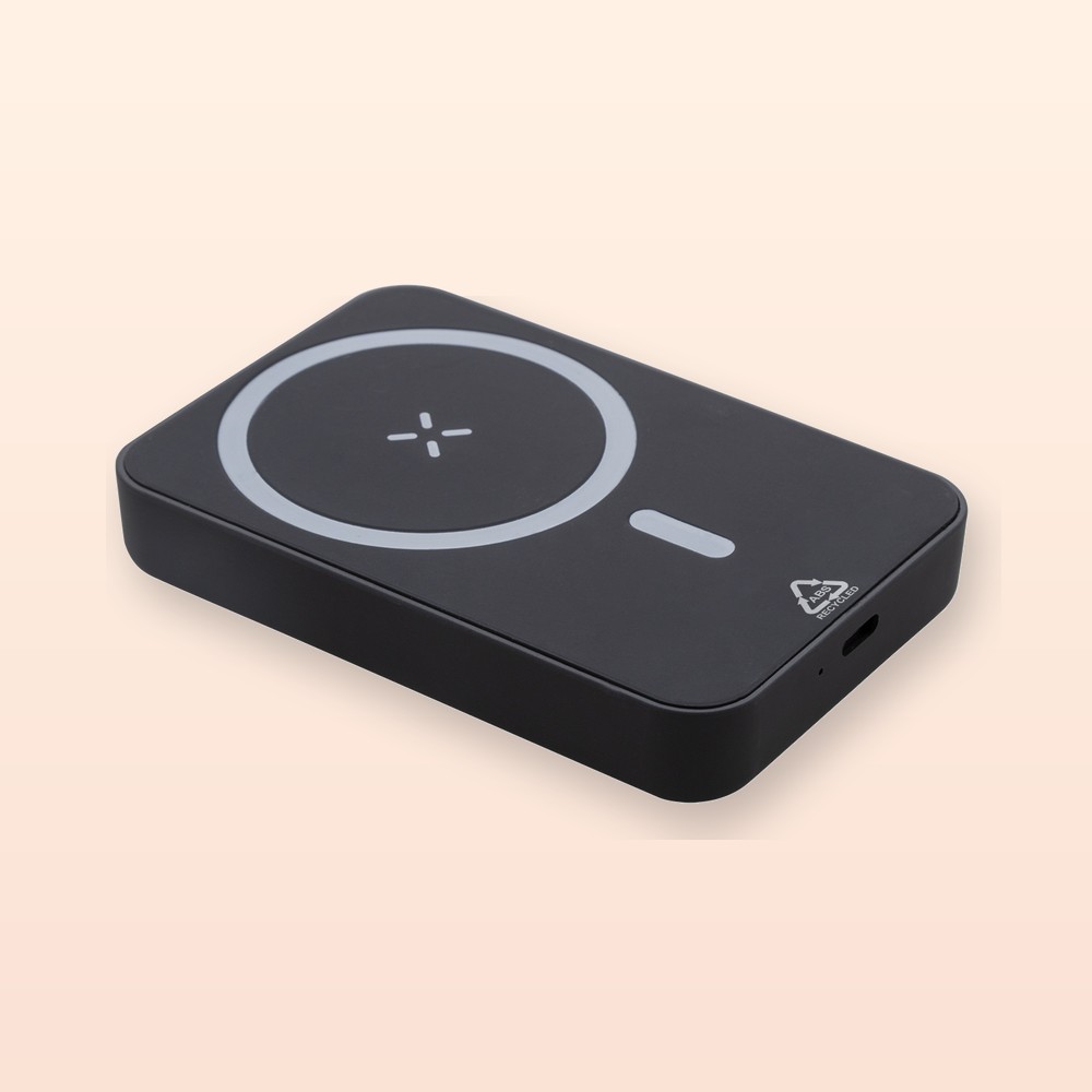 Power Bank in RABS