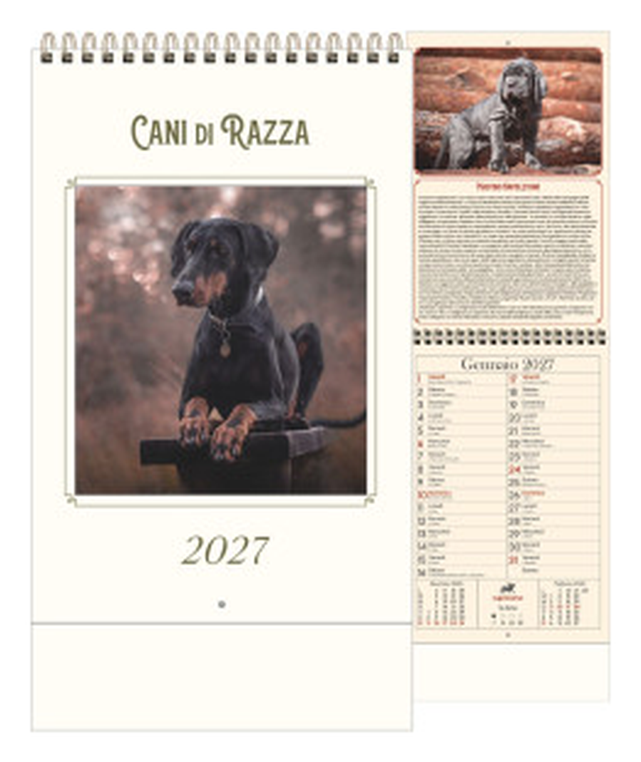 Calendario Illustrato Anticato cm 15,5x30 - Cani di razza