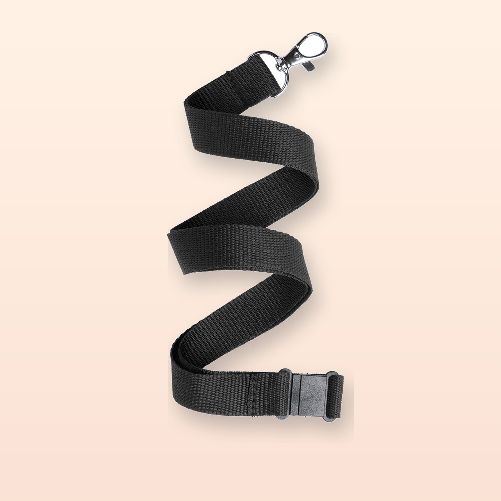 Lanyard