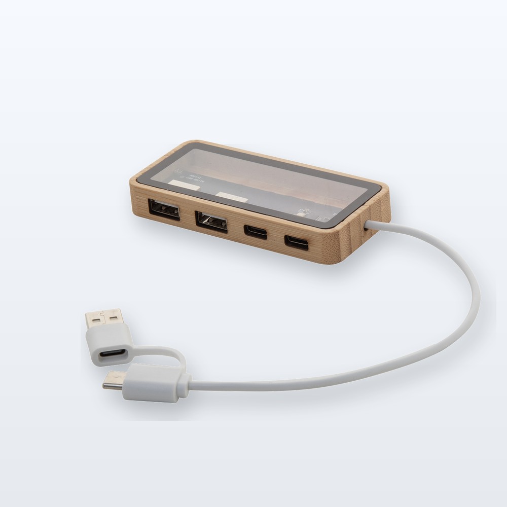 Trasparente hub USB - naturale - trasparente