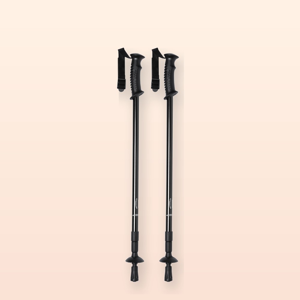 bastone trekking nordico - nero