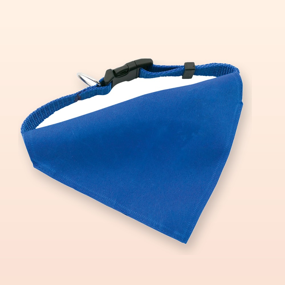 collare per cane - blu