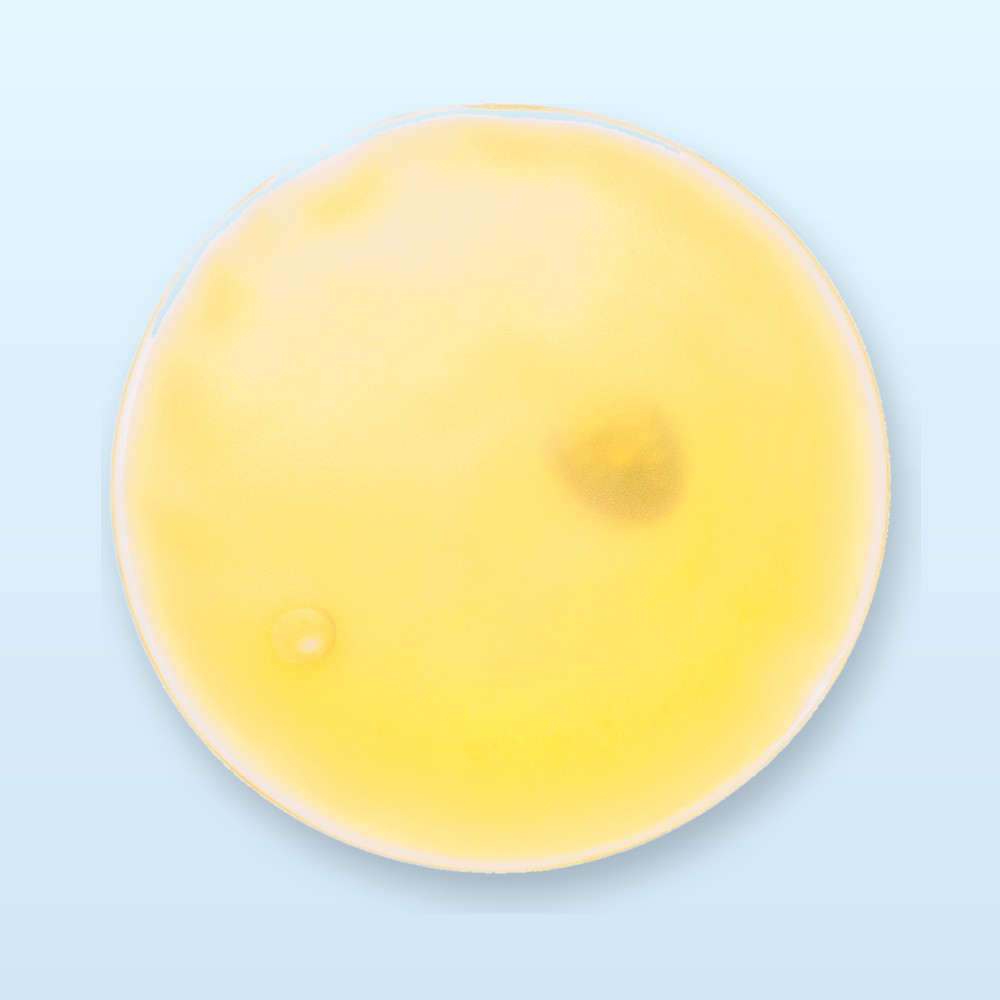 cuscino riscaldante - giallo