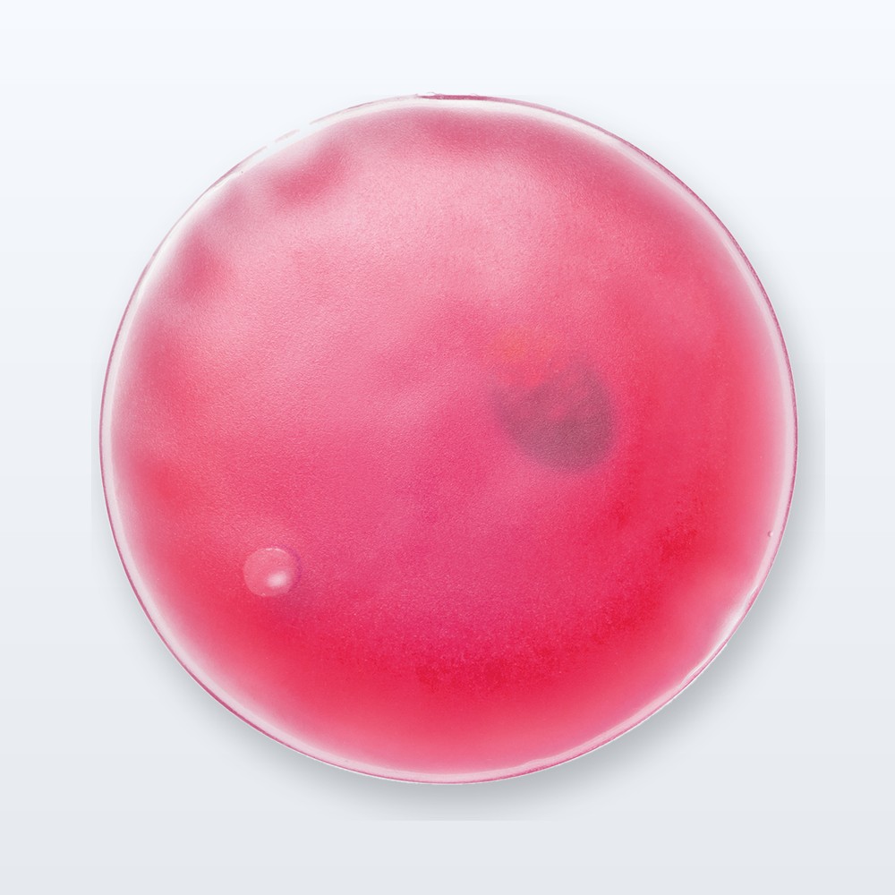cuscino riscaldante - fucsia