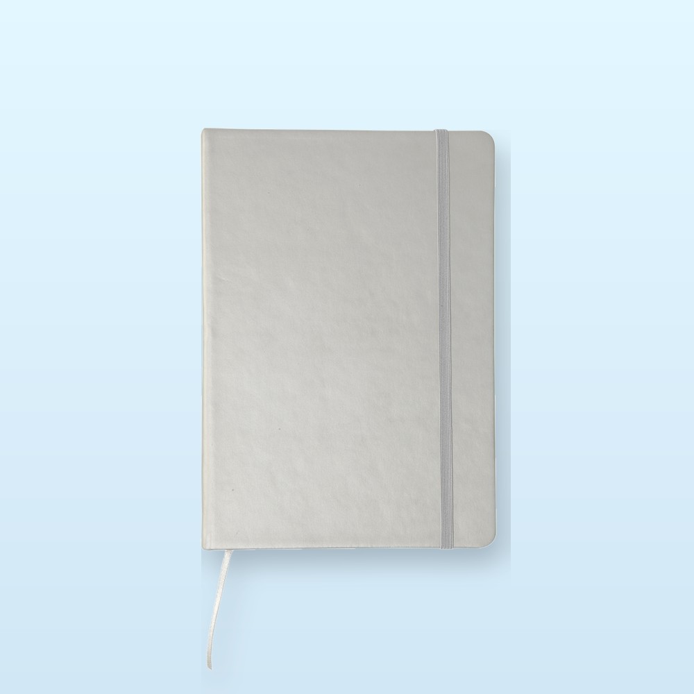 quaderno - argento
