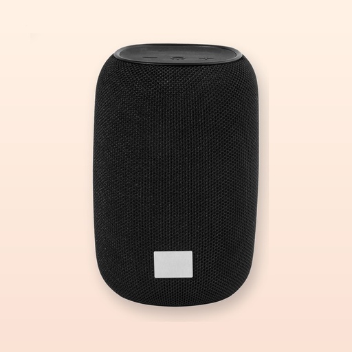 [BL-110807] Cassa wireless in RABS - nero