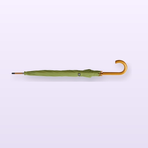 [BL-104099] ombrello RPET - verde