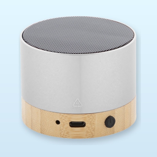 [BL-110562] Cassa wireless - argento